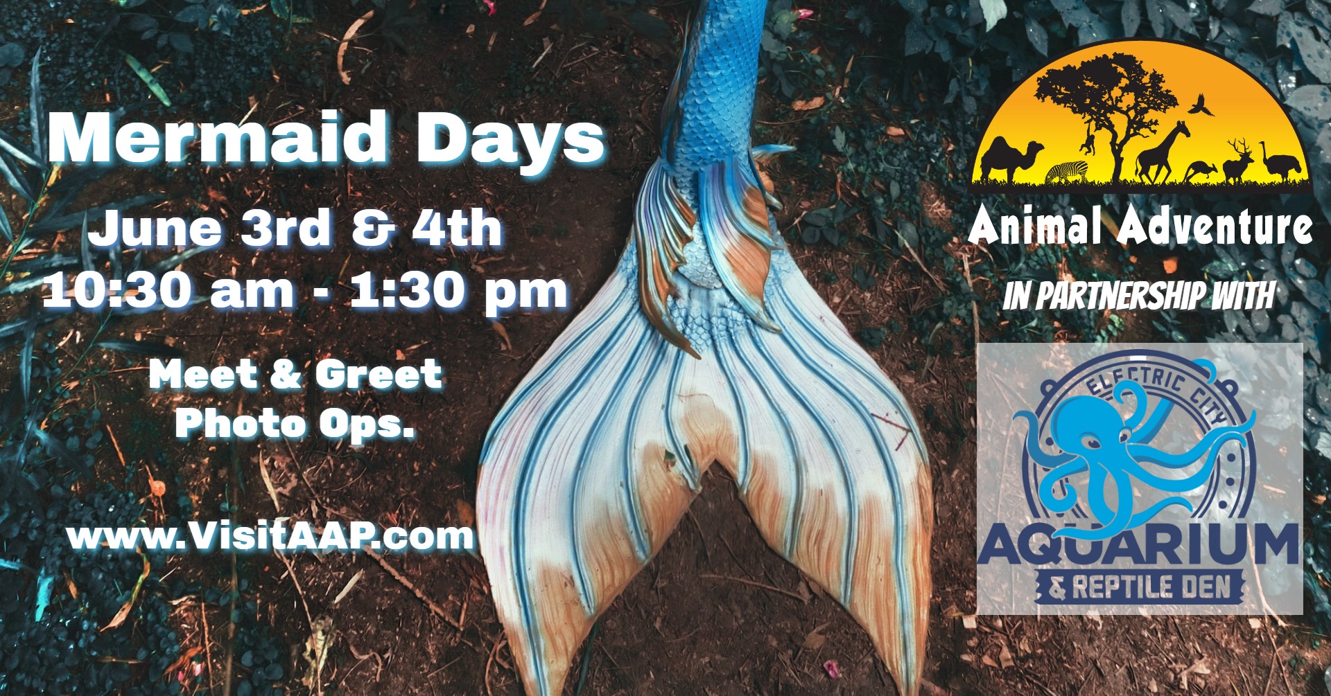 Animal Adventure Park